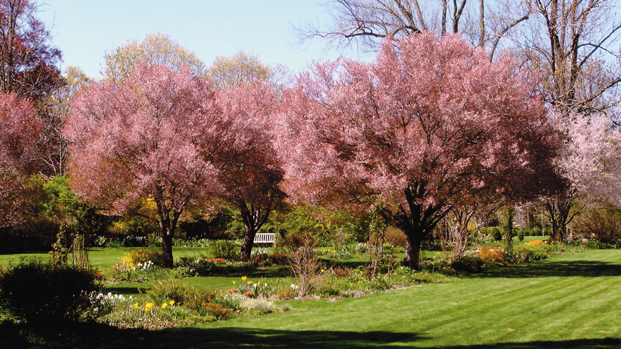 Historic Gardens In New Jersey