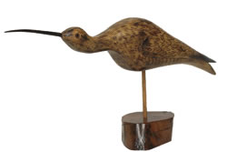 shorebird decoy