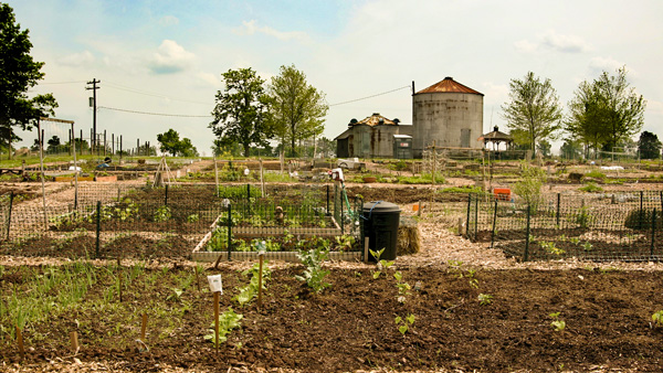 Garden Plots