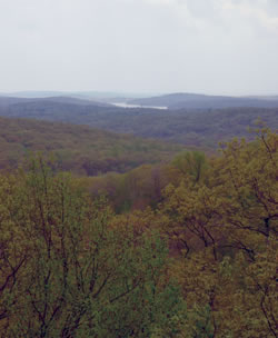 Headley Overlook