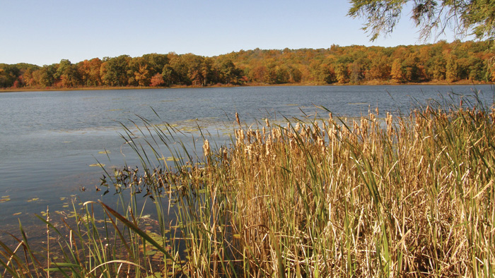 deer park pond