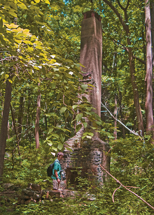 chimney in the woods