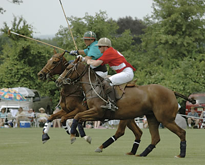 polo players