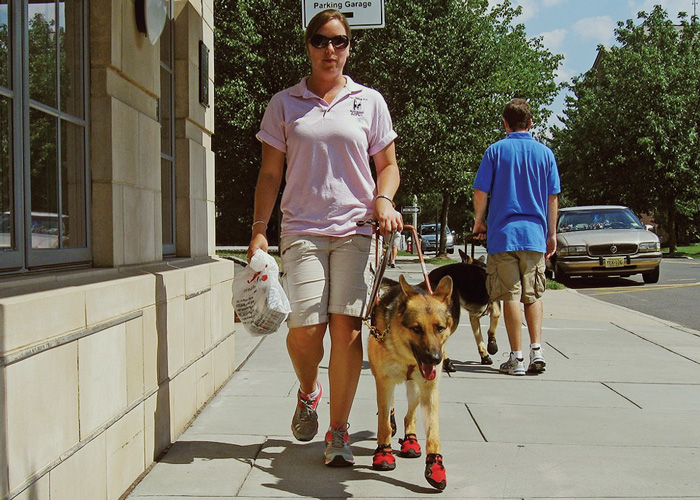 Trainer and German Shepherd