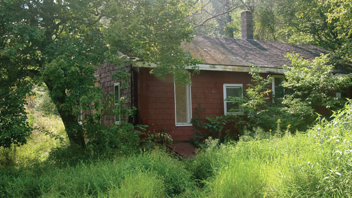 Crystal Springs cabin