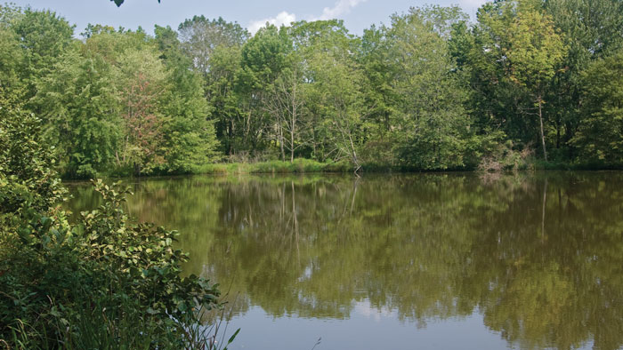 Crystal Springs pond